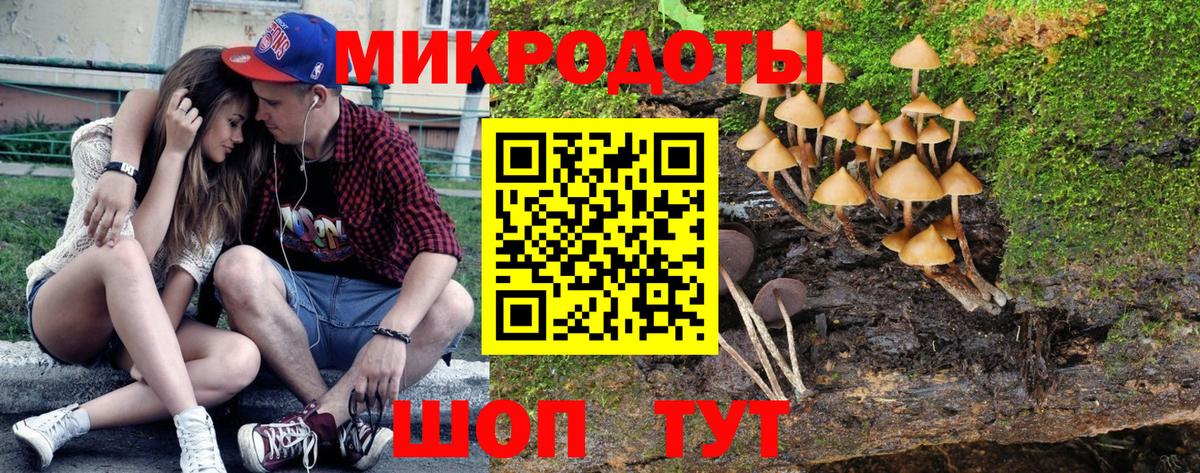 Галлюциногенные грибы мицелий  что такое   Вход с VPN  Кушва  Галлюциногенные грибы GOLDEN TEACHER 