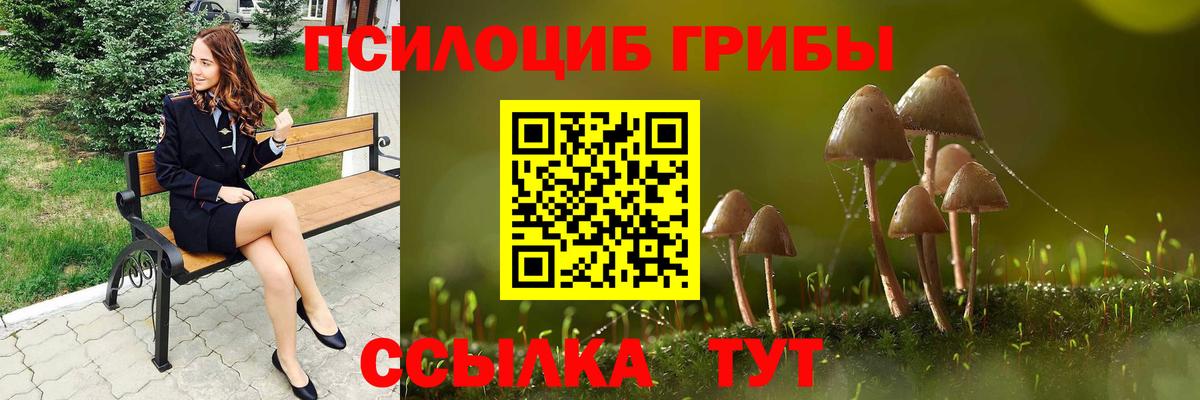 Псилоцибиновые грибы Cubensis Кушва